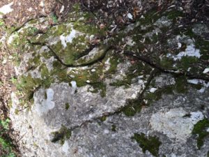 Incisioni rupestri riproduzione in pietra dei corsi d'acqua