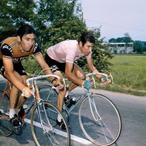 Gimondi, l’ultimo campione – Roberto Pecchioli