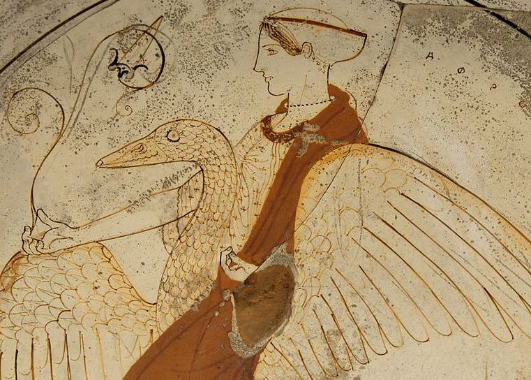 Le simbologie esoteriche del cigno e dell’oca – Emanuele Franz
